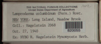 Image Associated With the Occurence